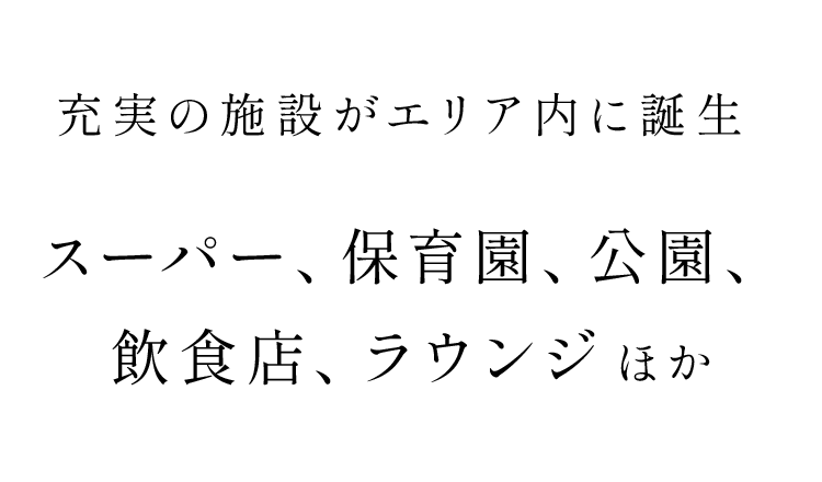 スーパー、保育園、公園、飲食店、ラウンジ、他…充実の施設